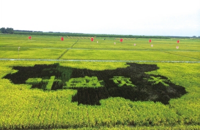 2015年6月3000块钱买什么手机最好-3000块钱