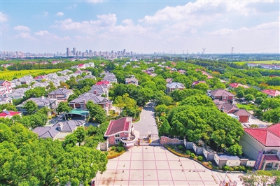 东方城乡报数字报刊平台-奉贤区南桥镇江海村